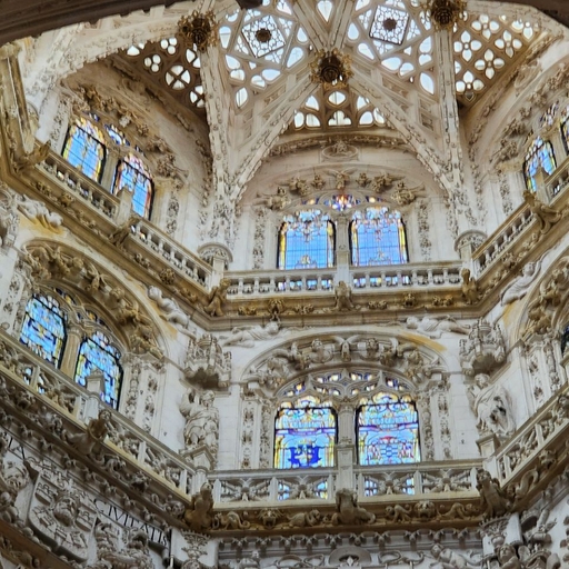 피드 이미지
