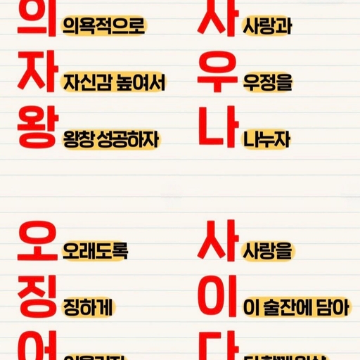 피드 이미지