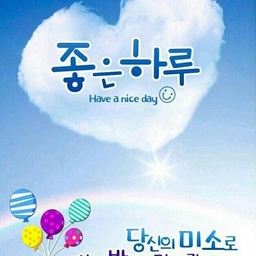 피드에 업로드 된 이미지