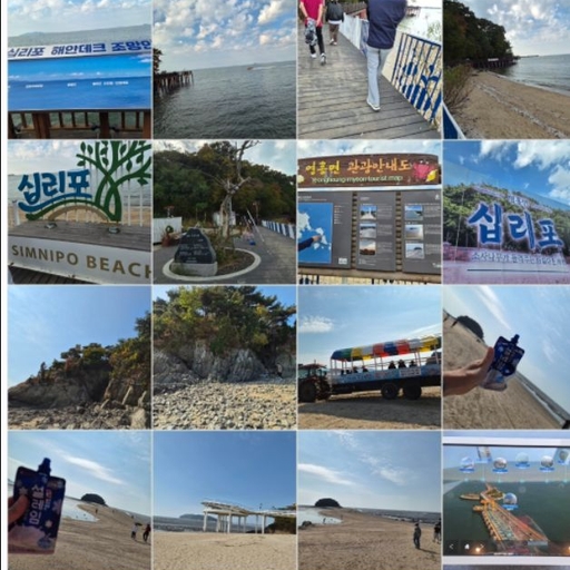 피드 이미지