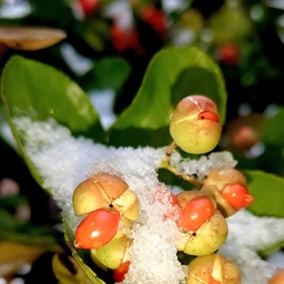 피드에 업로드 된 이미지