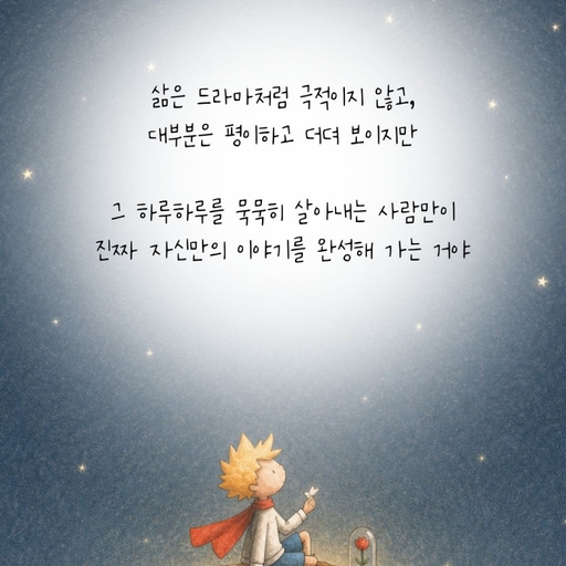 피드 이미지