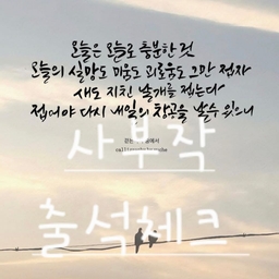 피드에 업로드 된 이미지