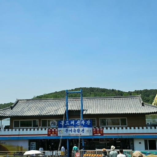 피드 이미지