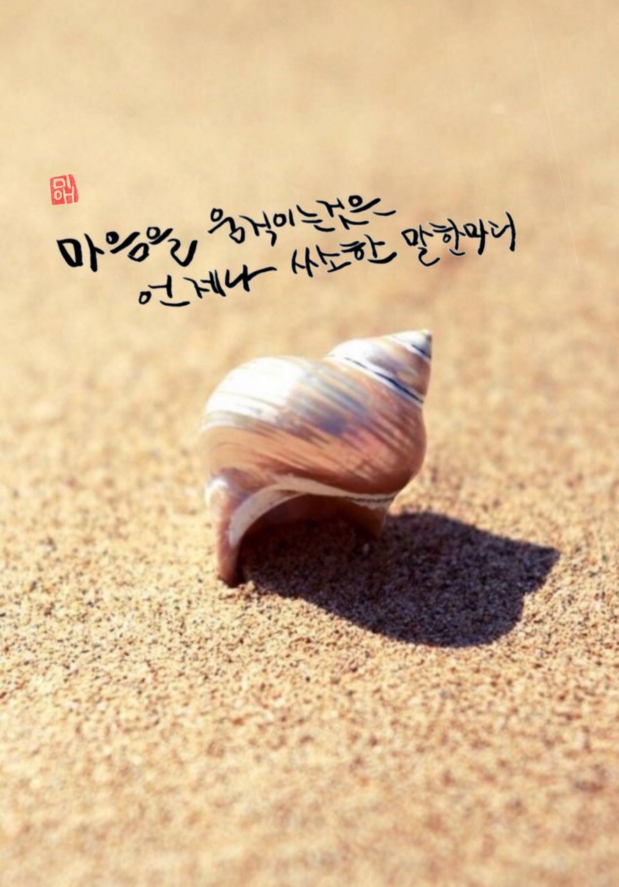 피드에 업로드 된 이미지