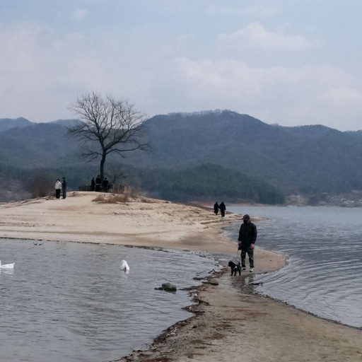 피드 이미지