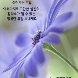 피드에 업로드 된 이미지