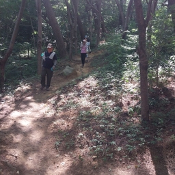 피드에 업로드 된 이미지