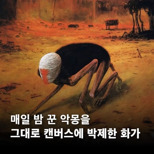 피드 이미지