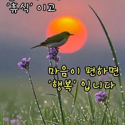 피드에 업로드 된 이미지