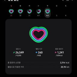피드에 업로드 된 이미지