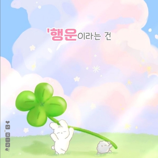 피드 이미지