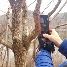공지사항에 업로드 된 이미지