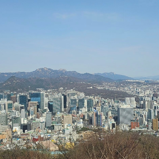 피드 이미지