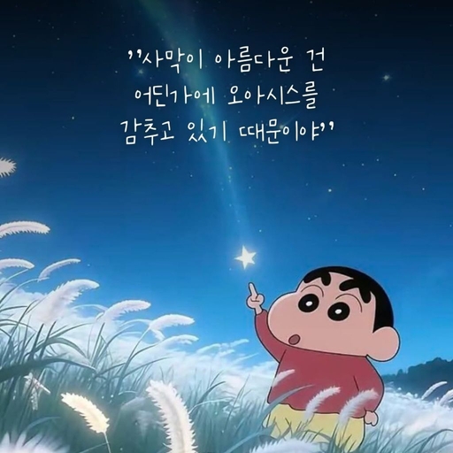 피드 이미지