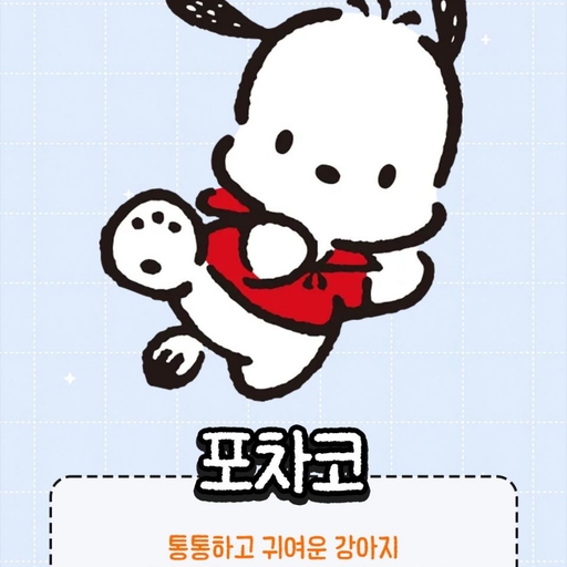 피드 이미지