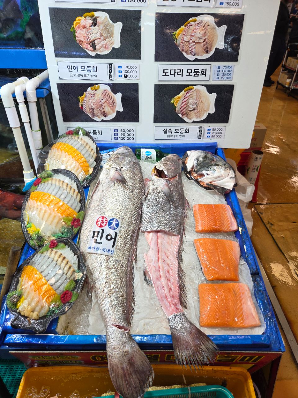 피드 이미지