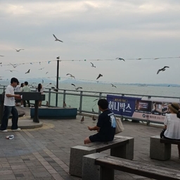 피드에 업로드 된 이미지