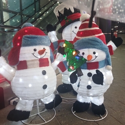 피드에 업로드 된 이미지