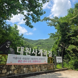 피드에 업로드 된 이미지