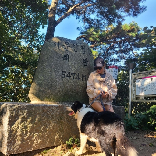 피드 이미지