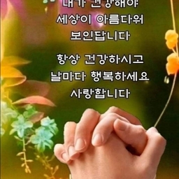 피드에 업로드 된 이미지