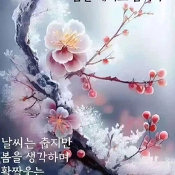 ํผ๋์ ์
๋ก๋ ๋ ์ด๋ฏธ์ง