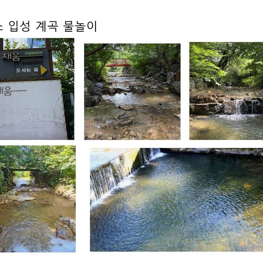 피드 이미지
