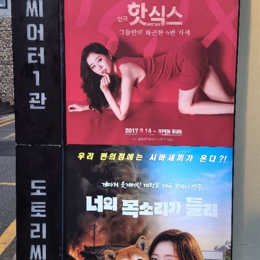 피드 이미지
