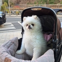 유저 프로필