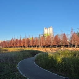 피드에 업로드 된 이미지