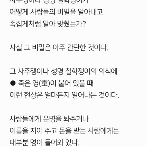 피드 이미지