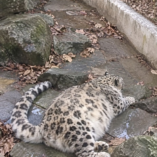 피드 이미지