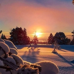 피드에 업로드 된 이미지