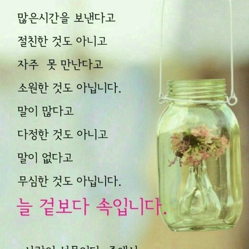 피드 이미지