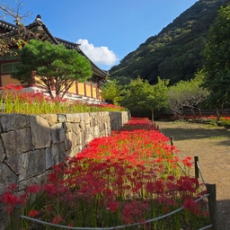 피드에 업로드 된 이미지