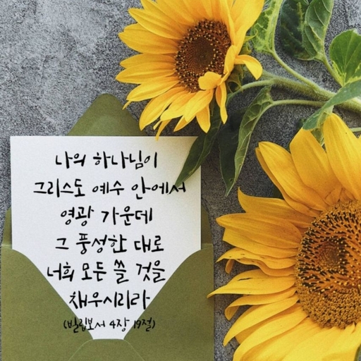 피드 이미지