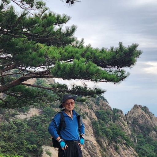 피드 이미지