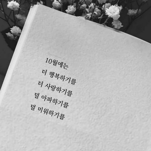 피드 이미지