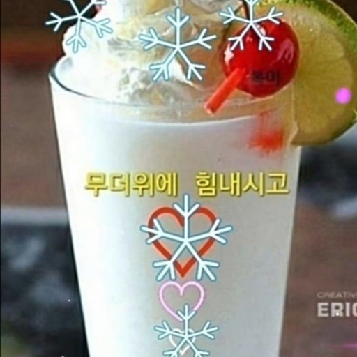 피드 이미지