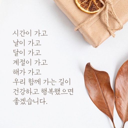 피드 이미지