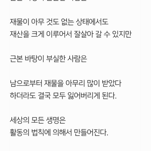 피드 이미지