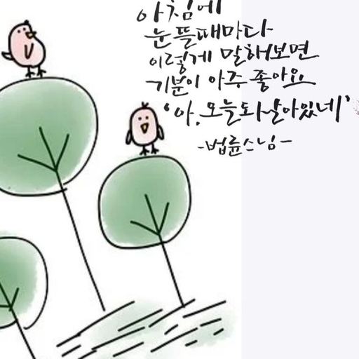 피드 이미지