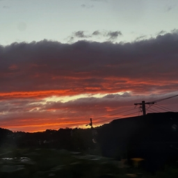 피드에 업로드 된 이미지