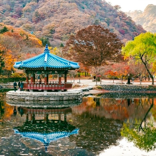 피드 이미지