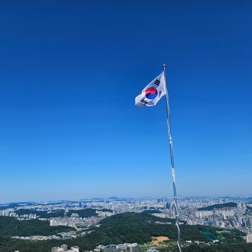 피드 이미지