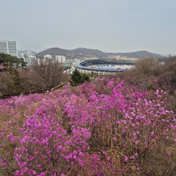 피드에 업로드 된 이미지