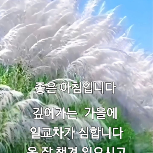 피드 이미지