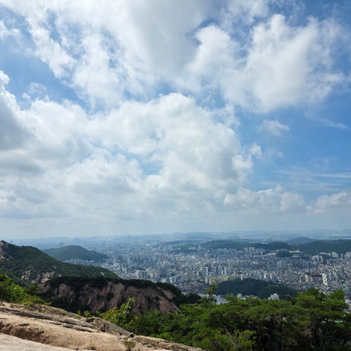 피드 이미지