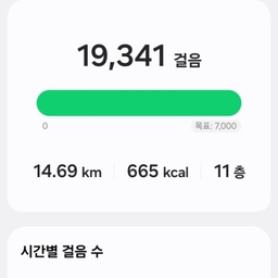 피드에 업로드 된 이미지
